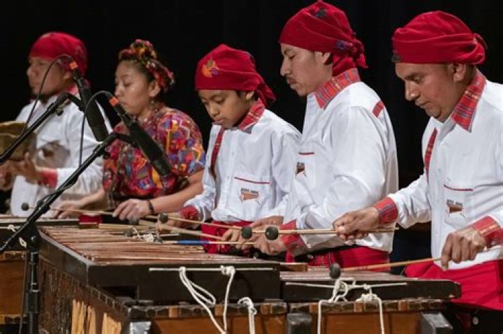 Which family is marimba in?