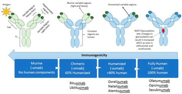 Which is an example of the humanization of nature?