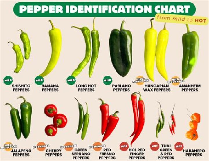 Which peppers contain piperine?