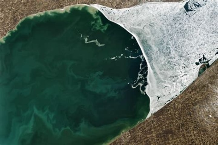 Who annihilated the british fleet on lake erie?