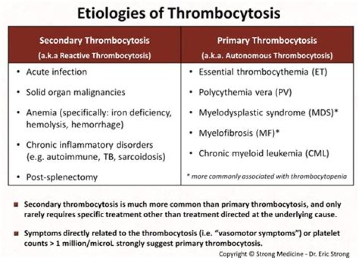 Who gets essential thrombocytosis?