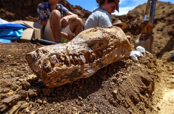 Who is an archaeologist answer?