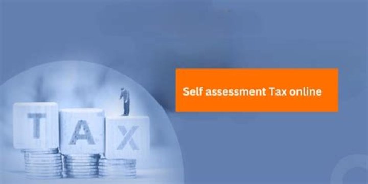 Who pay self assessment tax?