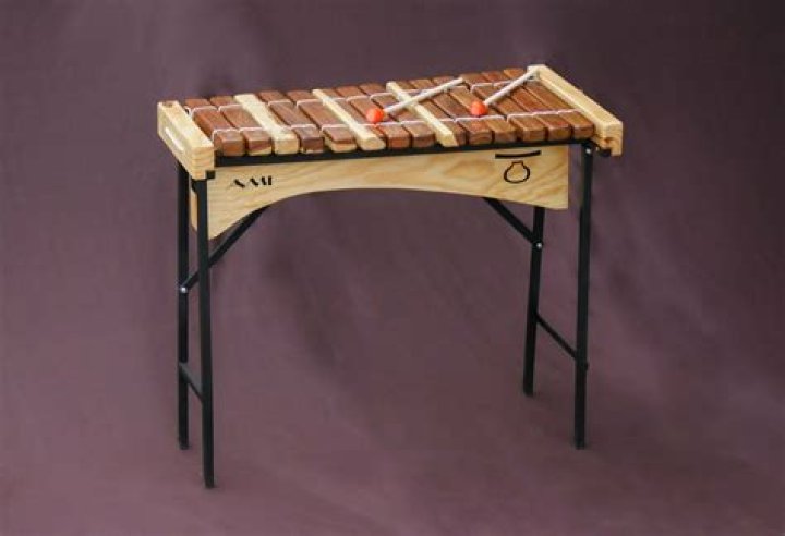 Why are marimbas so expensive?