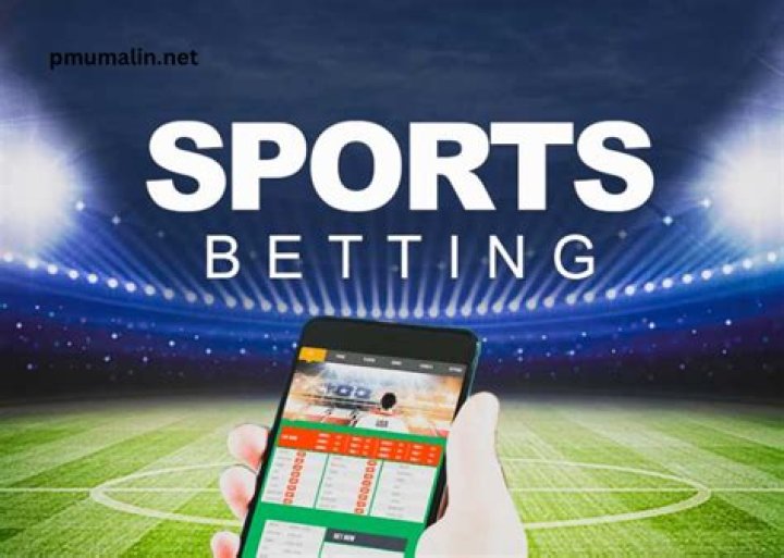 Why bet on sports?