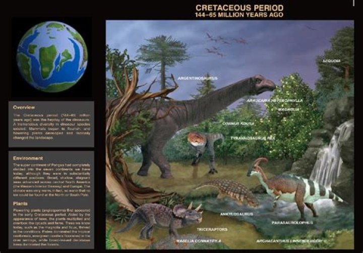 Why did the cretaceous period end?