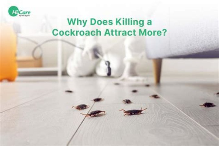 Why does killing a cockroach attract more?