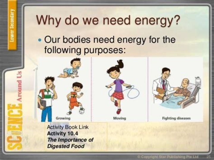 Why humans need energy?